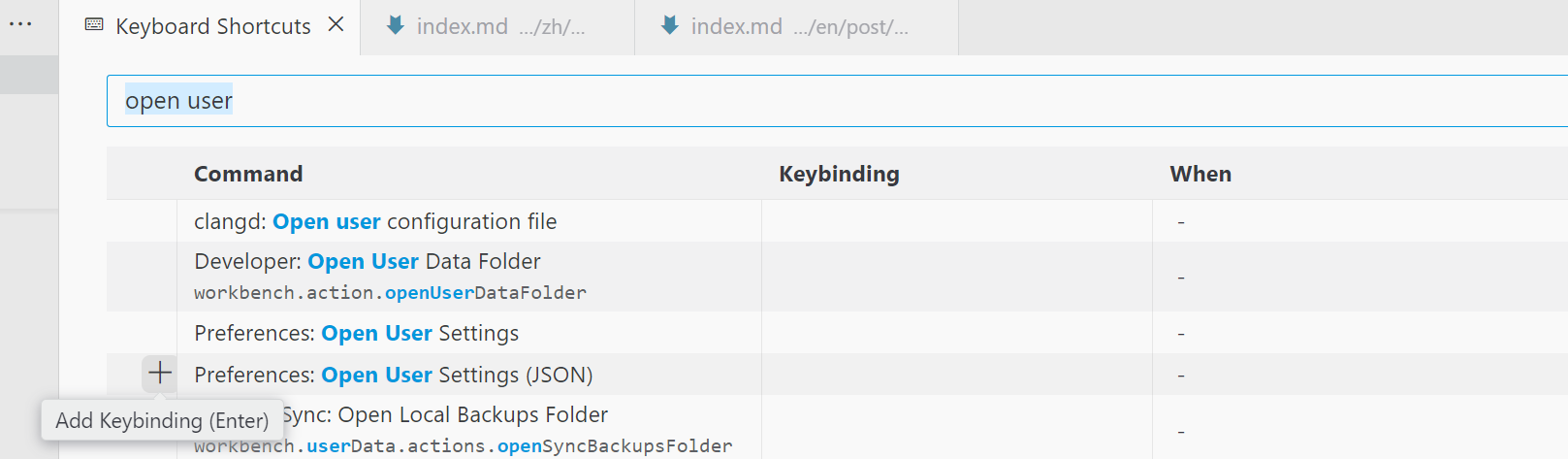 open user setting json